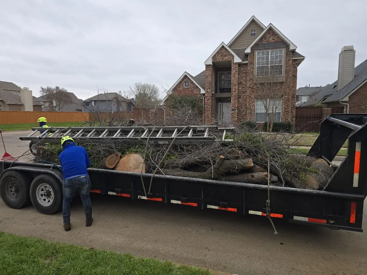 Expert Tree Fertilization with proper safety equipment in South Kortright